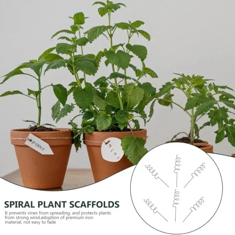 Bonsai Garden Plants - Supporto per Piante Rampicanti, Pali a