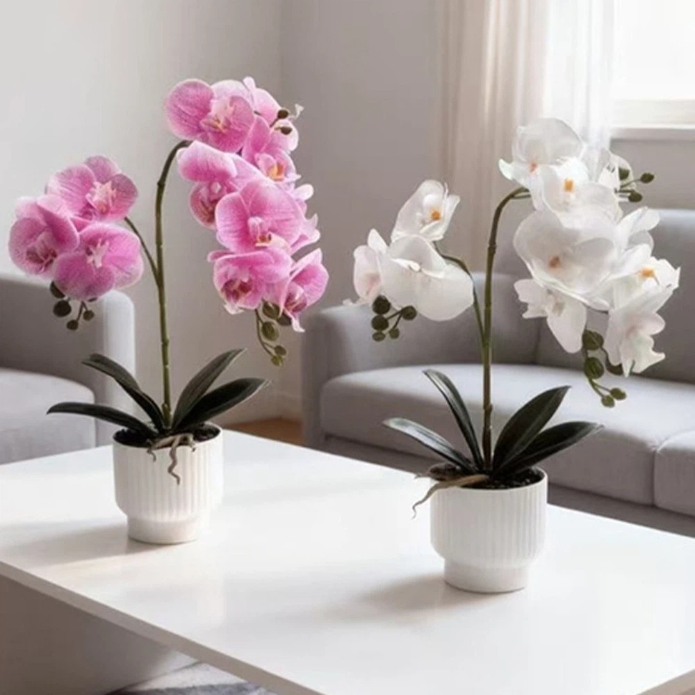 Bonsai Garden Kit - Orchidea a Farfalla Simulata Multi-Fiore, Vaso
