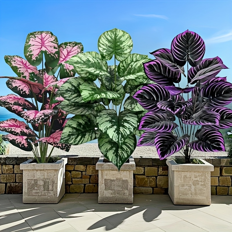Bonsai Garden Kit - 3 pz 60 cm Grande Pianta