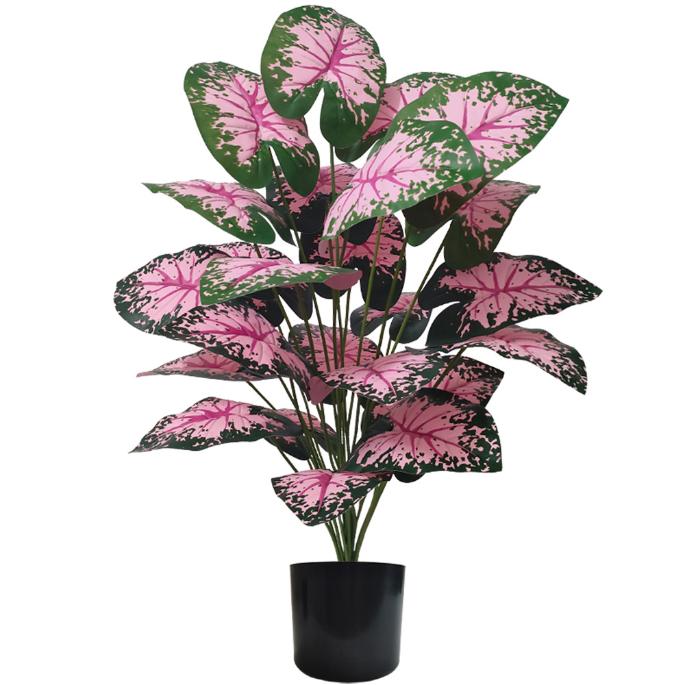 Bonsai Garden Kit - Piante in vaso con foglie rosa