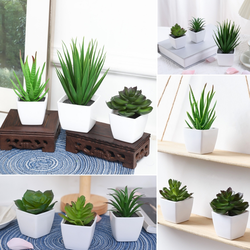 Bonsai Garden Kit - (U set di 3 pezzi) Mini