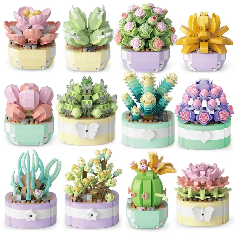 Bonsai Garden Kit - Fiore succulente blocchi di costruzione Cactus