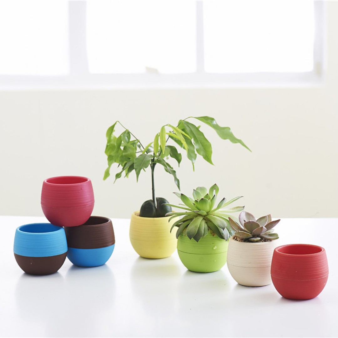 Bonsai Garden Nursery - Mini vasi da fiori in plastica