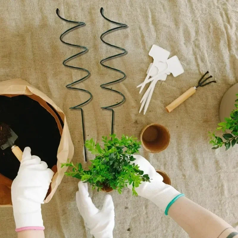 Supporto per Piante Rampicanti - Bonsai Garden Plants recensione e prezzo