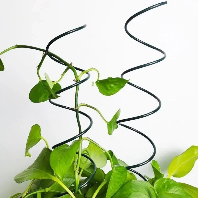 Supporto per Piante Rampicanti - Bonsai Garden Plants recensione e prezzo