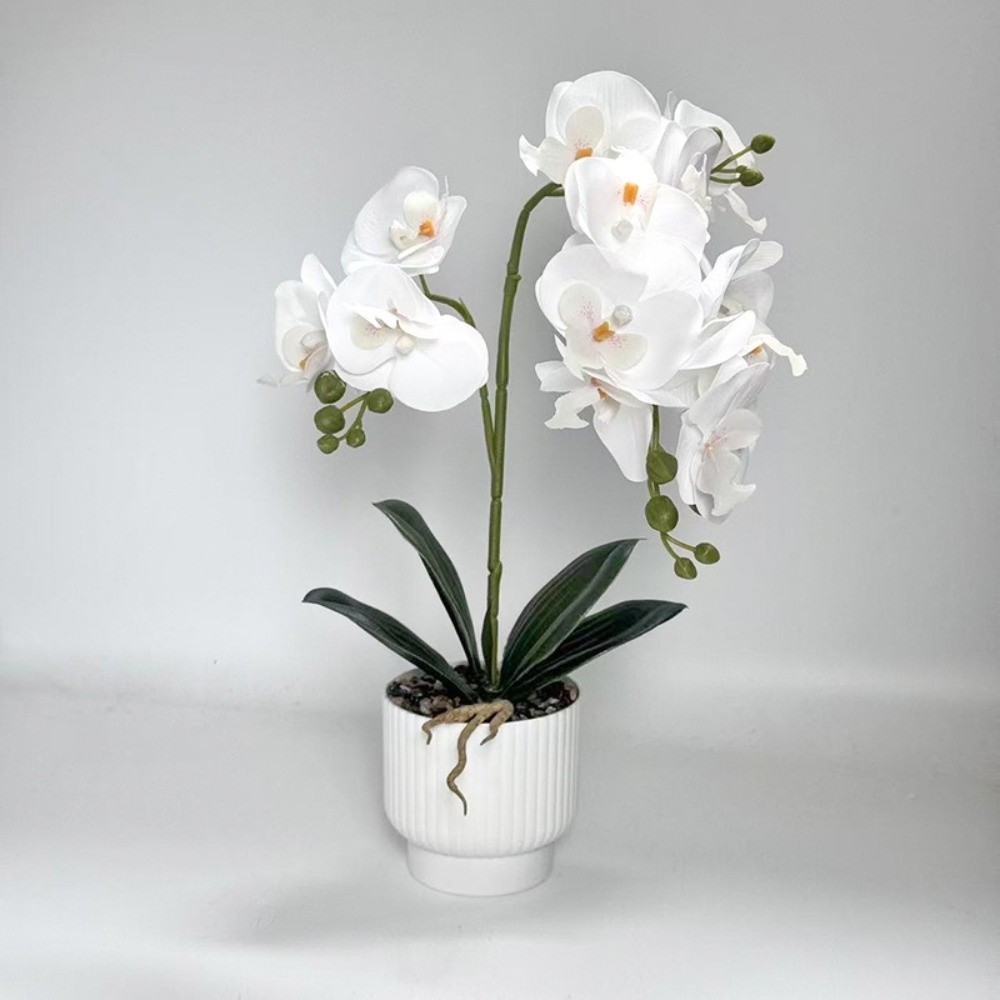 Orchidea a Farfalla Simulata M - Bonsai Garden Kit recensione e prezzo