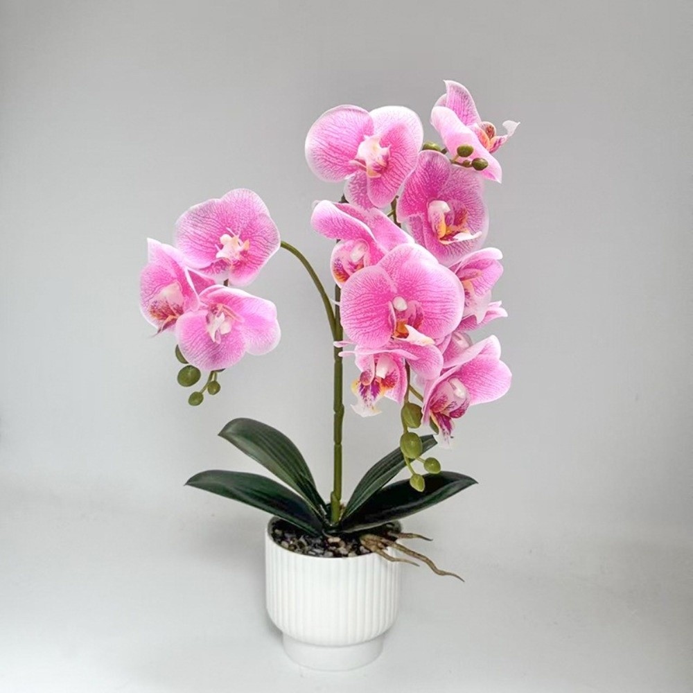 Orchidea a Farfalla Simulata M - Bonsai Garden Kit recensione e prezzo