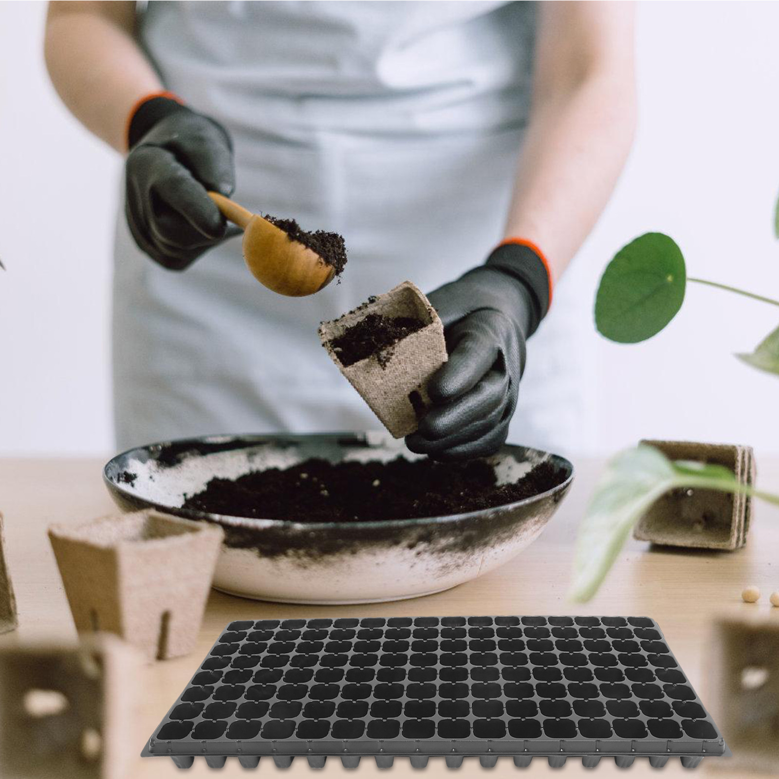 10 Pezzi Vassoio in Plastica p - Bonsai Garden Nursery recensione e prezzo