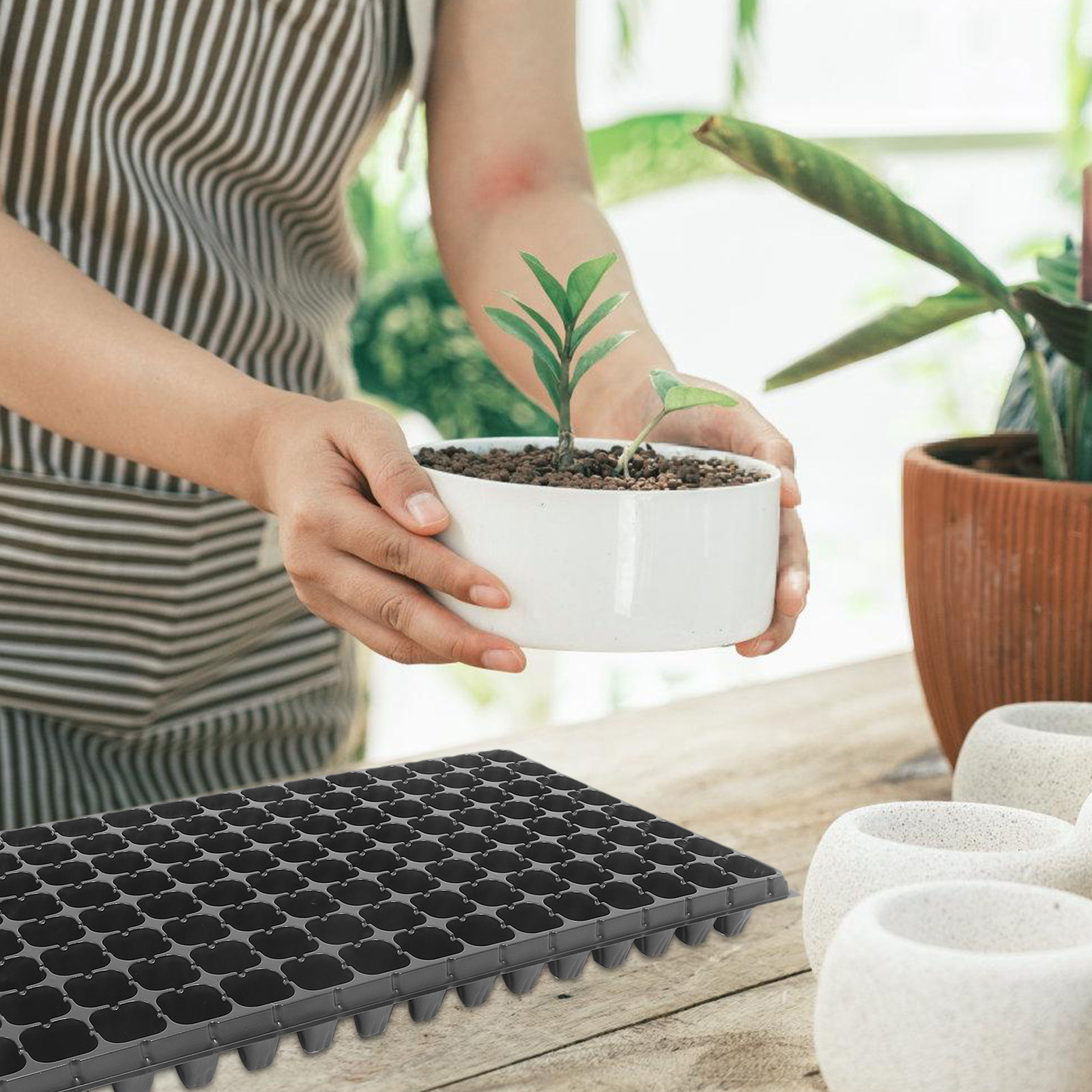10 Pezzi Vassoio in Plastica p - Bonsai Garden Nursery recensione e prezzo