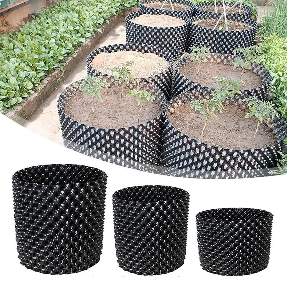 Set di 1 Vaso Resistente e Vel - Bonsai Garden Nursery recensione e prezzo