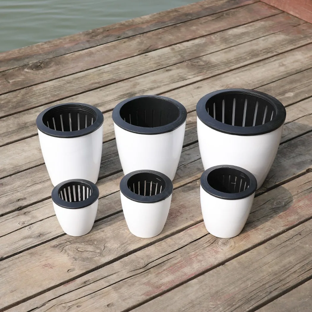 Vaso da fiori pigro Pianta aut - Bonsai Garden Nursery recensione e prezzo
