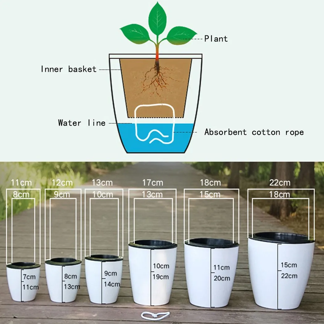 Vaso da fiori pigro Pianta aut - Bonsai Garden Nursery recensione e prezzo