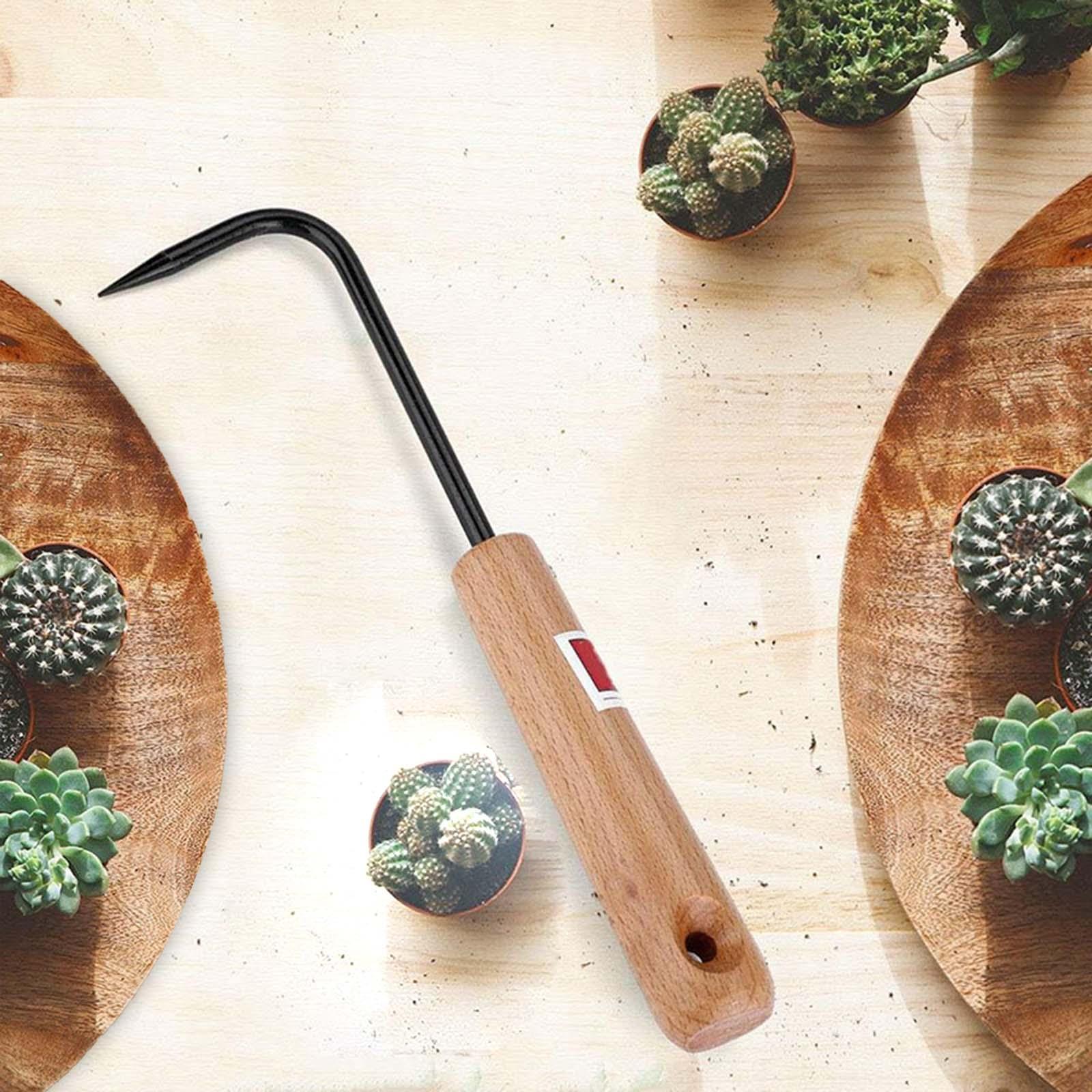 Robusto Gancio per Radici di B - Root Hook Tool recensione e prezzo