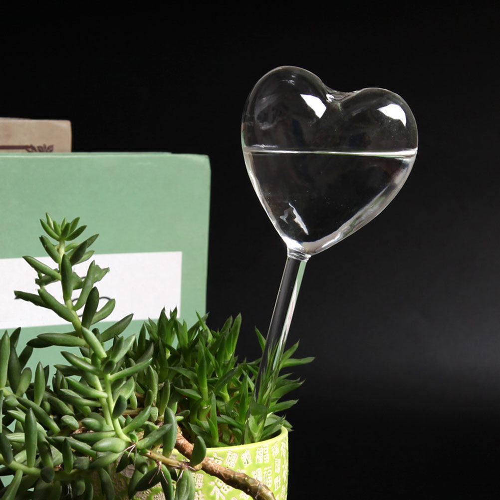 Set di 3 Sfere in Vetro a Form - Bonsai Garden Plants recensione e prezzo