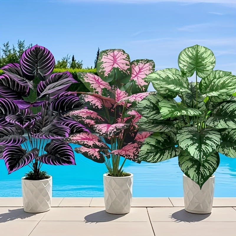 3 pz 60 cm Grande Pianta Verde - Bonsai Garden Kit recensione e prezzo