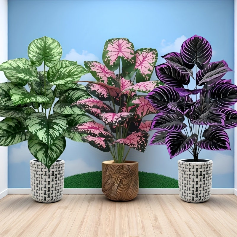 3 pz 60 cm Grande Pianta Verde - Bonsai Garden Kit recensione e prezzo