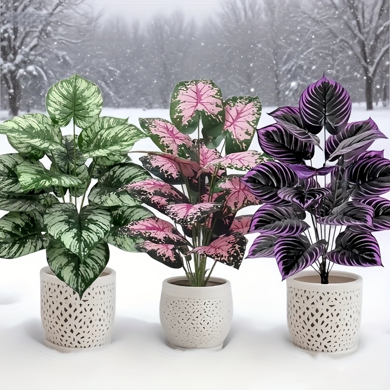 3 pz 60 cm Grande Pianta Verde - Bonsai Garden Kit recensione e prezzo