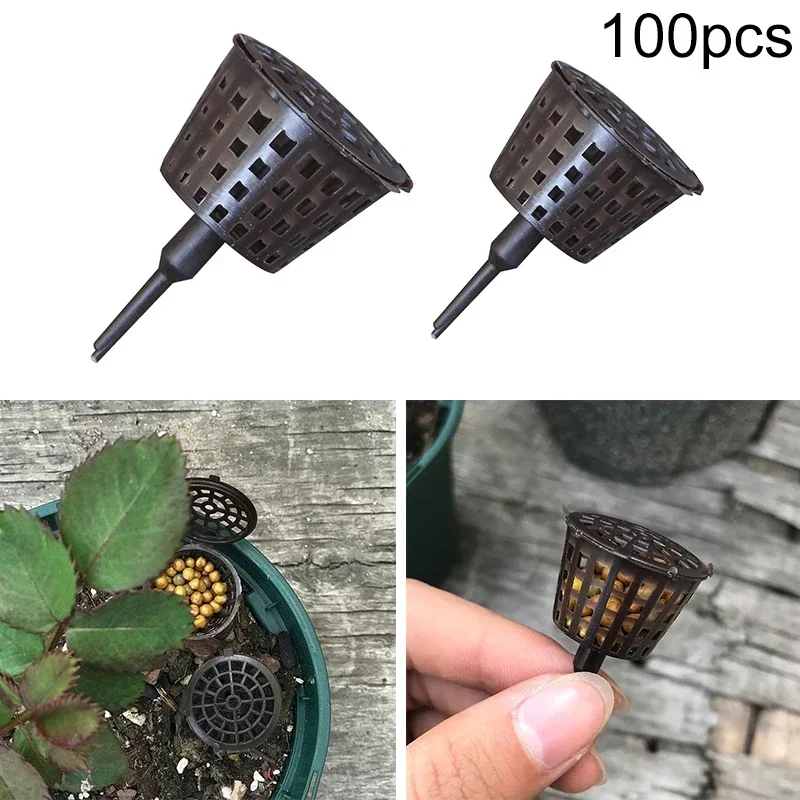 100 pz plastica giardino bonsa - Bonsai Garden Nursery recensione e prezzo