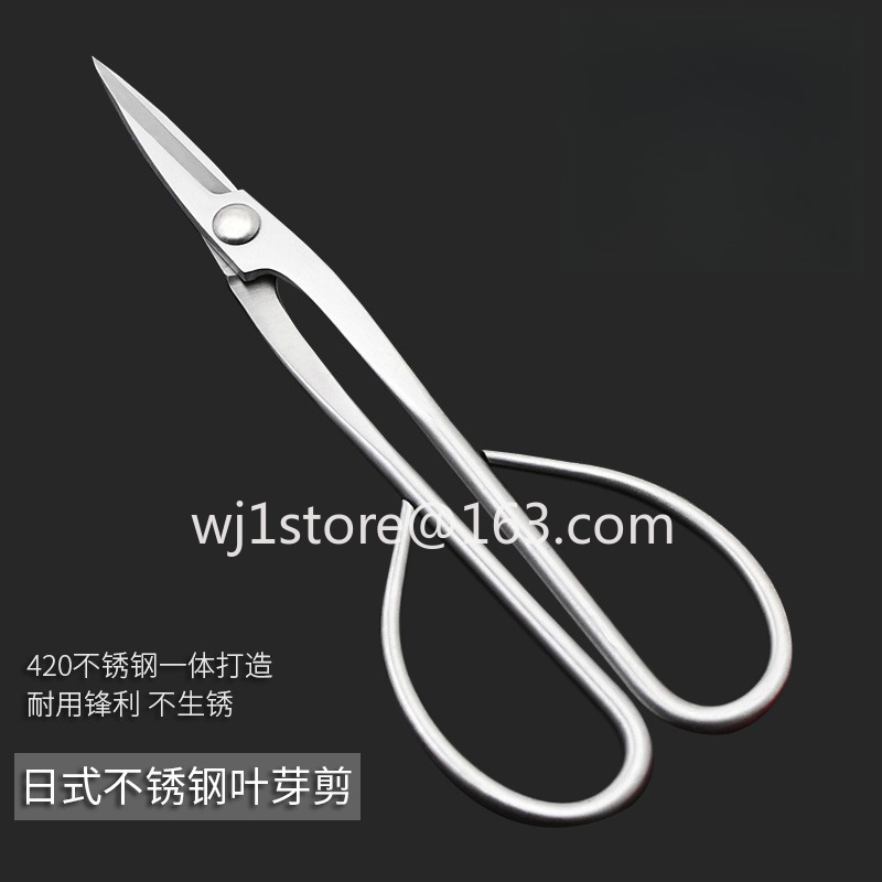 Forbici per bonsai in acciaio  - Root Hook Tool recensione e prezzo