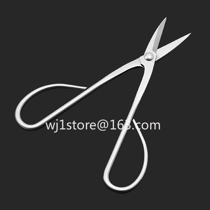 Forbici per bonsai in acciaio  - Root Hook Tool recensione e prezzo