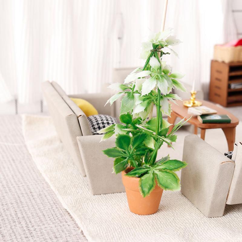 1/12 Simulazione di casa delle - Bonsai Gardening recensione e prezzo