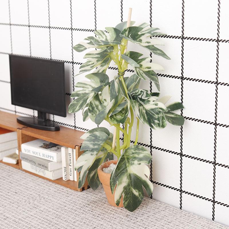 1/12 Simulazione di casa delle - Bonsai Gardening recensione e prezzo