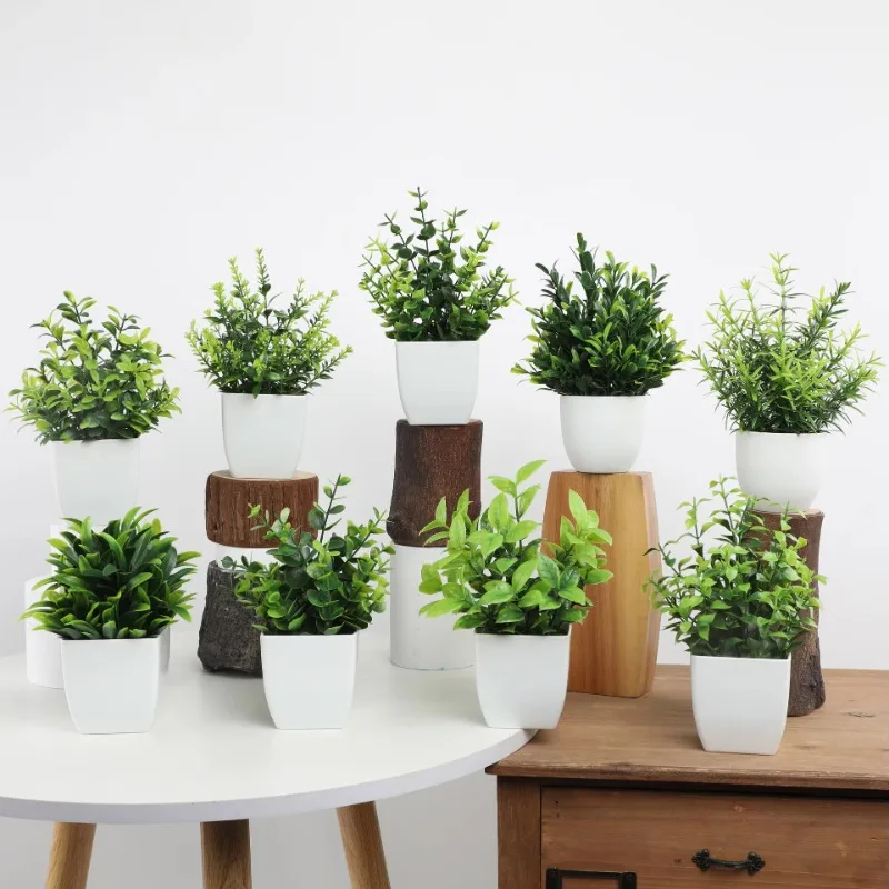 Mini piante artificiali in vas - Bonsai Garden Kit recensione e prezzo