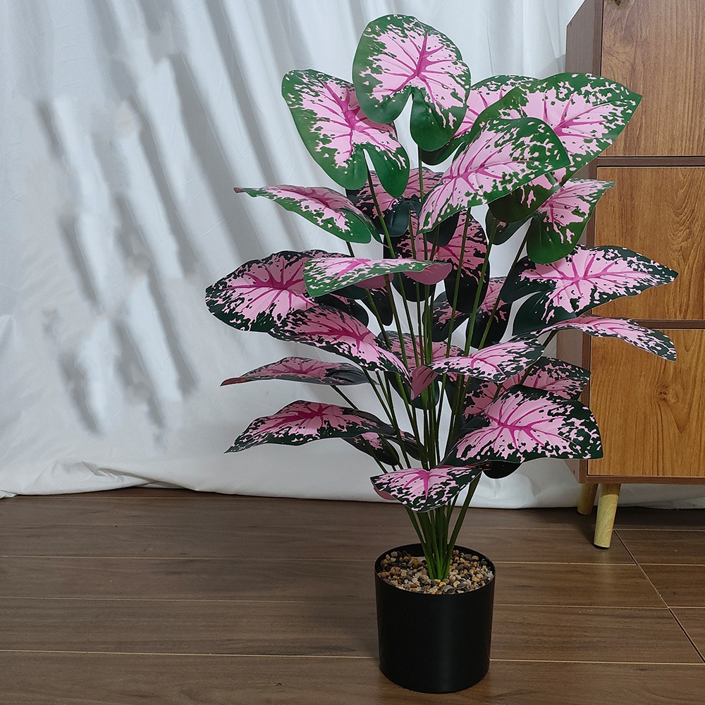 Piante in vaso con foglie rosa - Bonsai Garden Kit recensione e prezzo