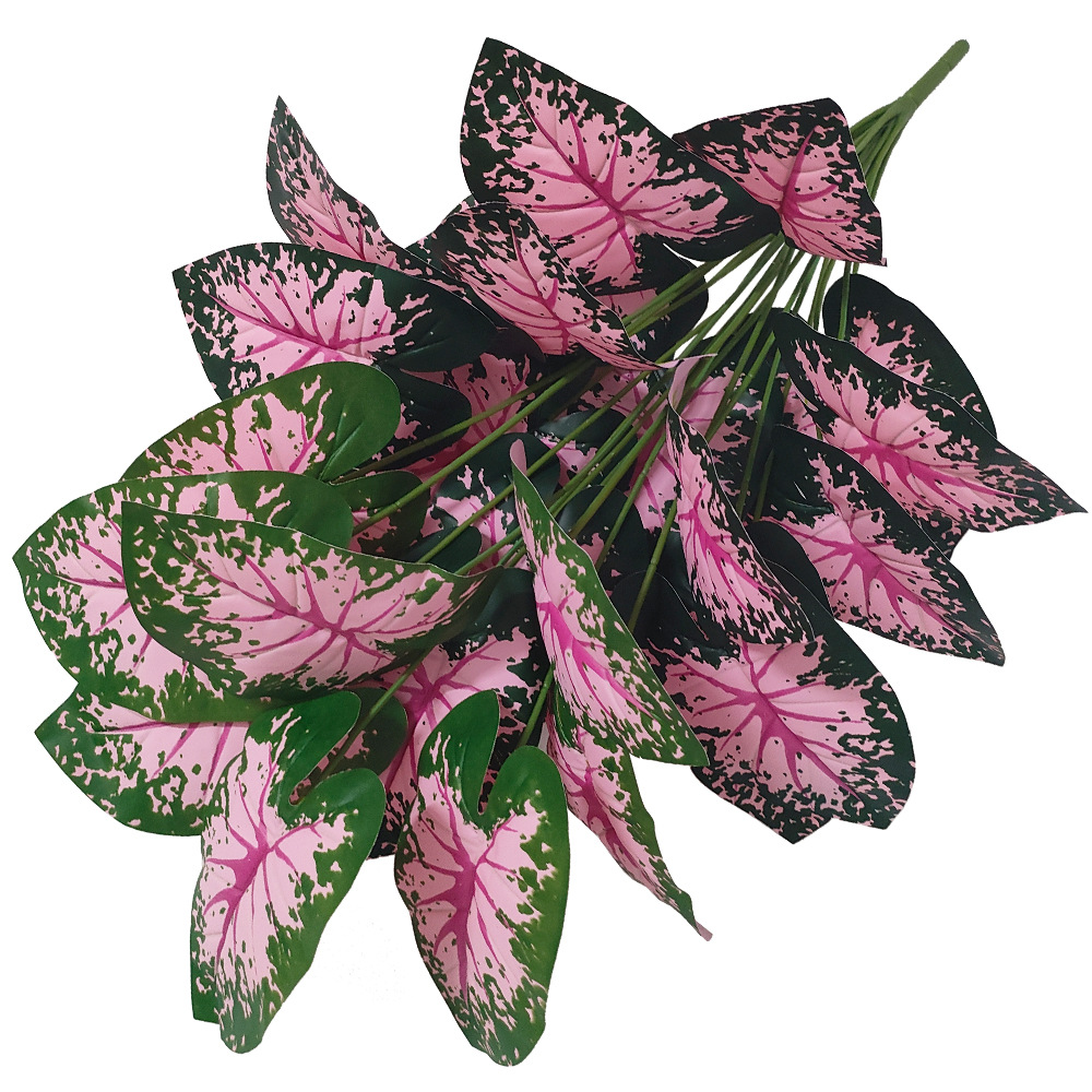 Piante in vaso con foglie rosa - Bonsai Garden Kit recensione e prezzo