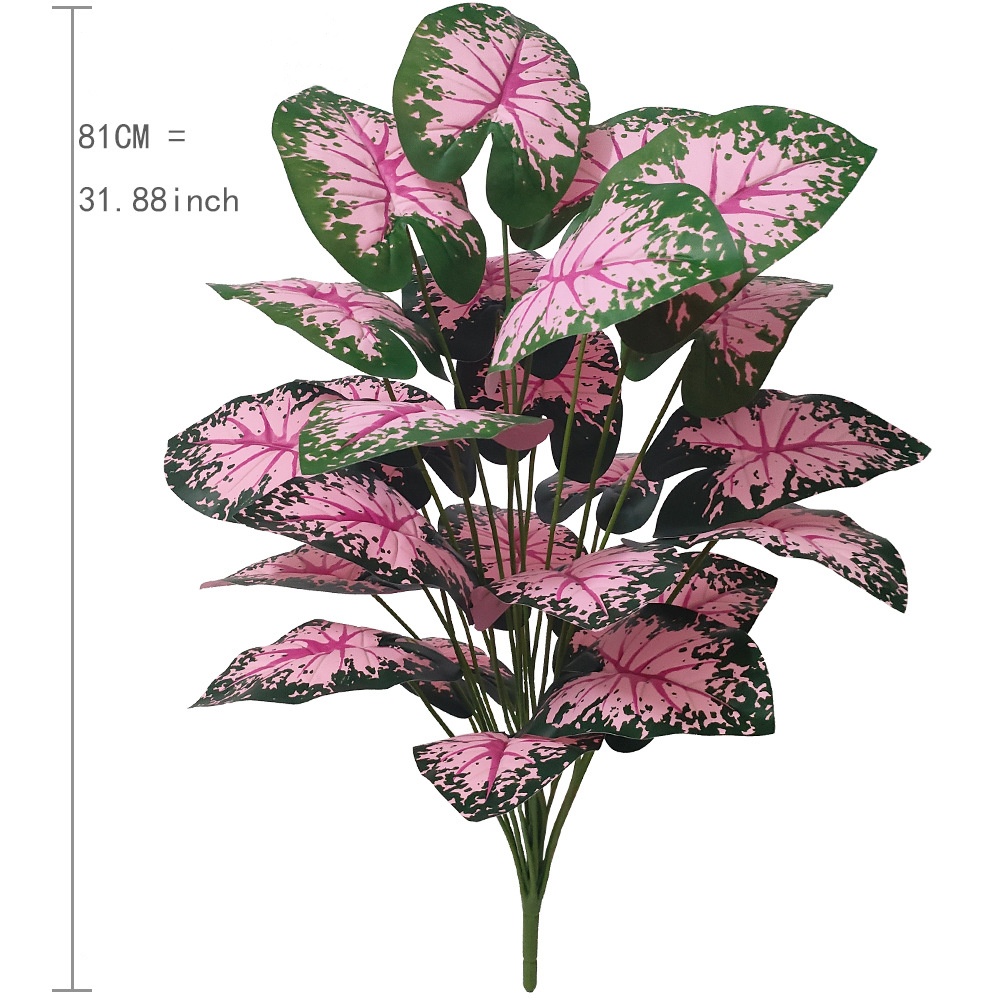 Piante in vaso con foglie rosa - Bonsai Garden Kit recensione e prezzo