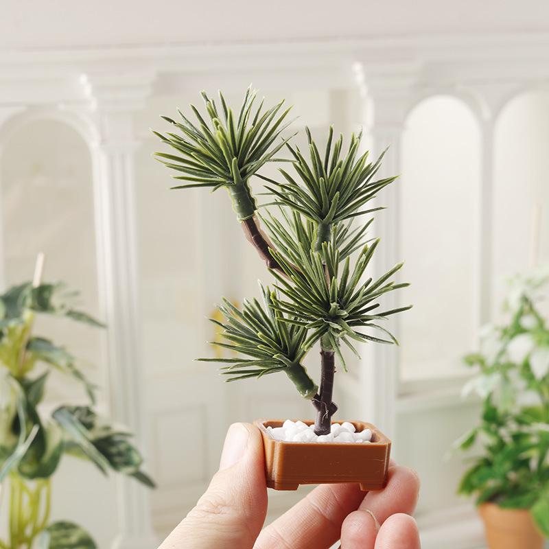 1 Pezzo Albero di Pino in Mini - Bonsai Gardening recensione e prezzo