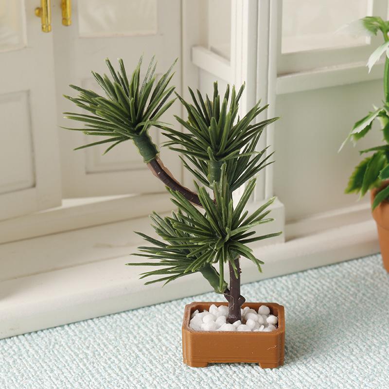 1 Pezzo Albero di Pino in Mini - Bonsai Gardening recensione e prezzo