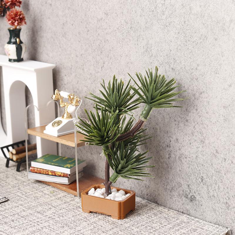 1 Pezzo Albero di Pino in Mini - Bonsai Gardening recensione e prezzo