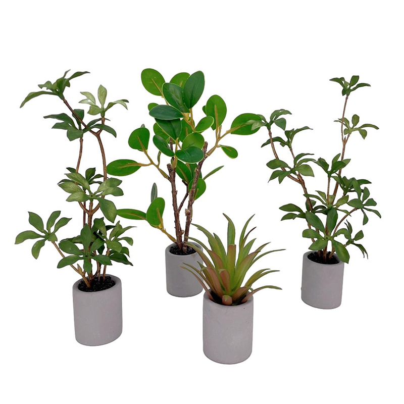 1:6 Casa delle bambole in mini - Bonsai Garden Kit recensione e prezzo