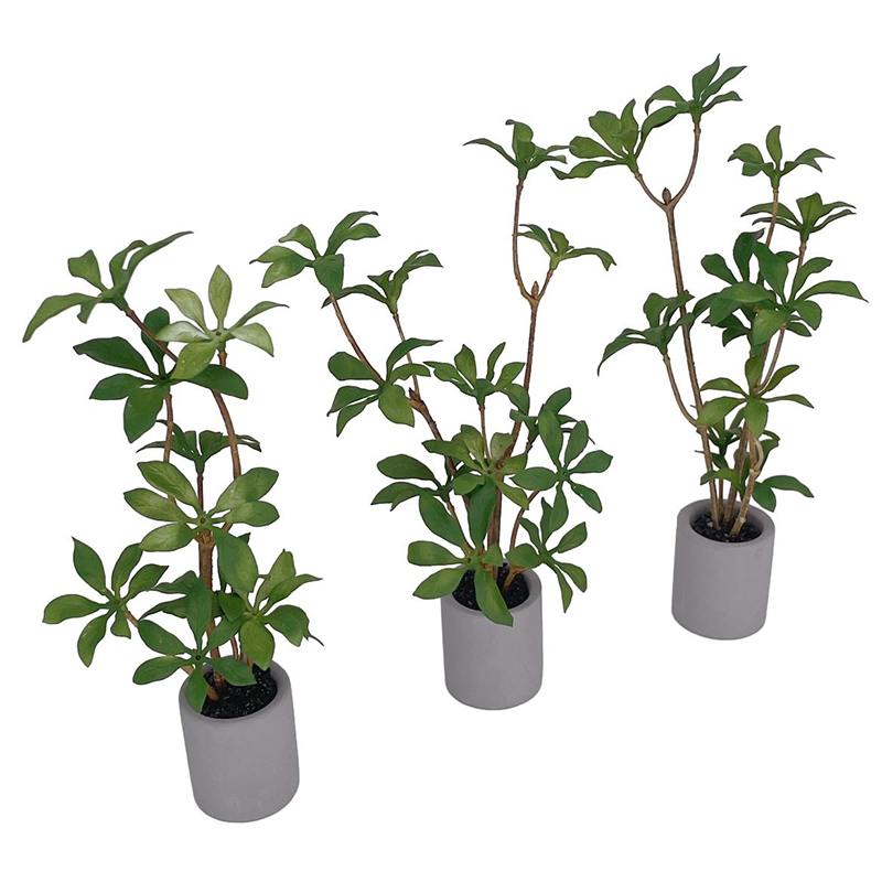 1:6 Casa delle bambole in mini - Bonsai Garden Kit recensione e prezzo