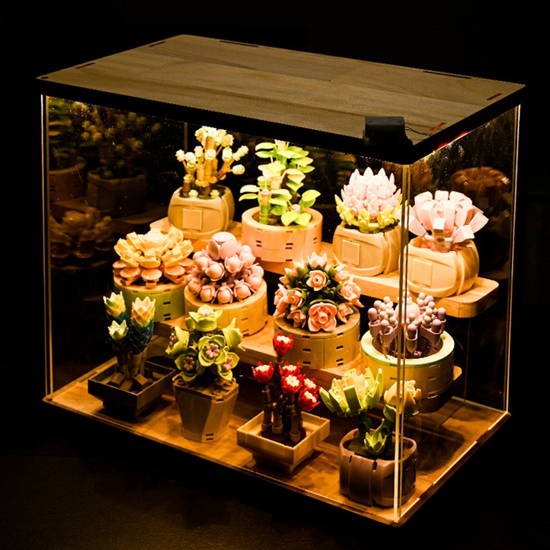 FAI DA TE MOC Piante In Vaso P - Bonsai Garden Experts recensione e prezzo