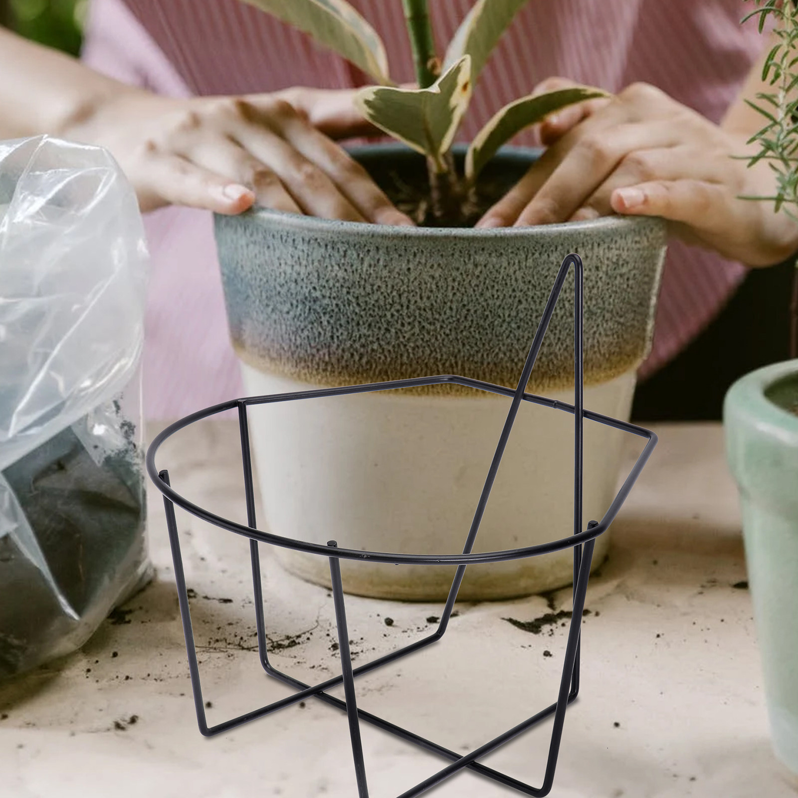 Supporto da Parete in Ferro Ba - Bonsai Gardening recensione e prezzo