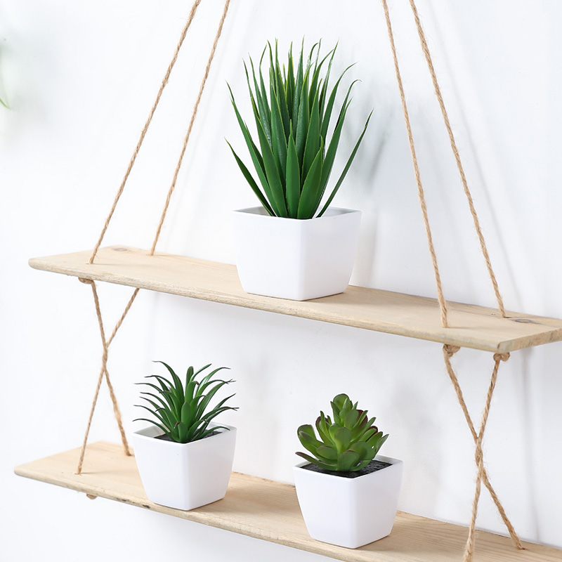 (U set di 3 pezzi) Mini piante - Bonsai Garden Kit recensione e prezzo
