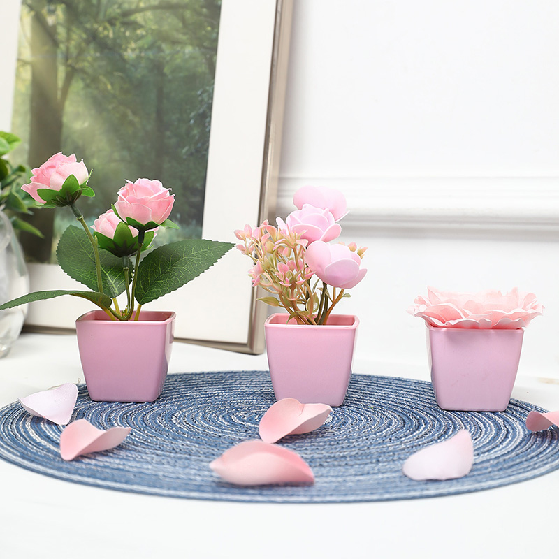 (U set di 3 pezzi) Mini piante - Bonsai Garden Kit recensione e prezzo