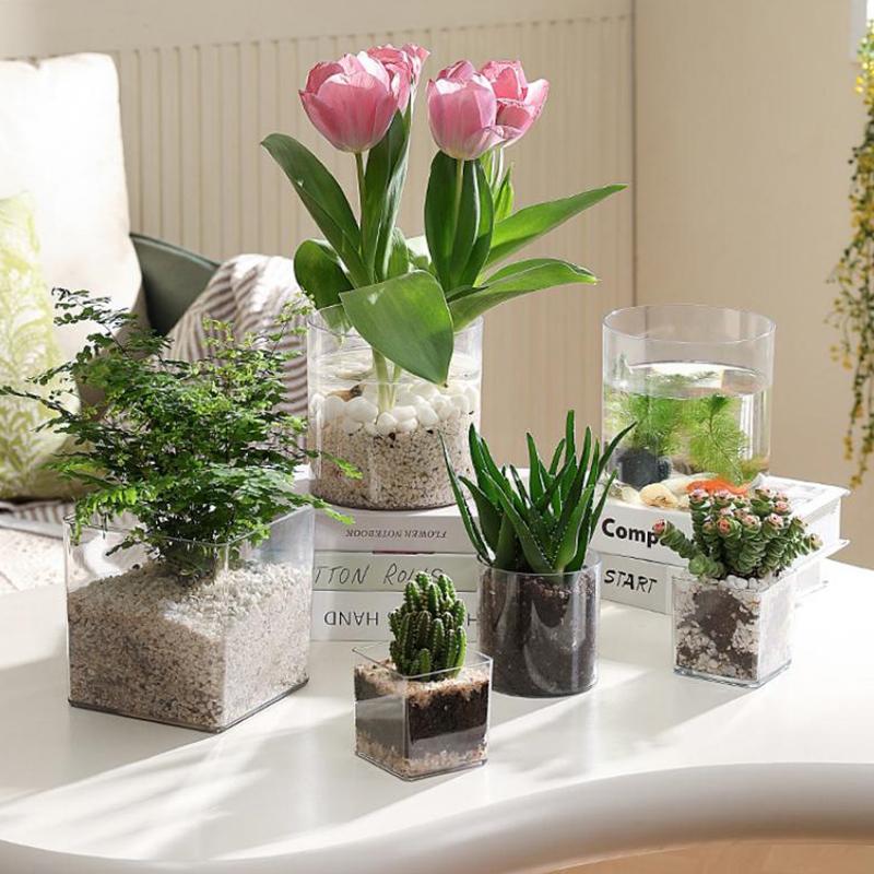 Vasi per piante in acrilico tr - Bonsai Garden Nursery recensione e prezzo