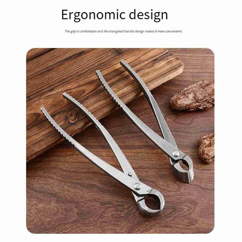 Set di attrezzi per bonsai SHG - Root Hook Tool recensione e prezzo