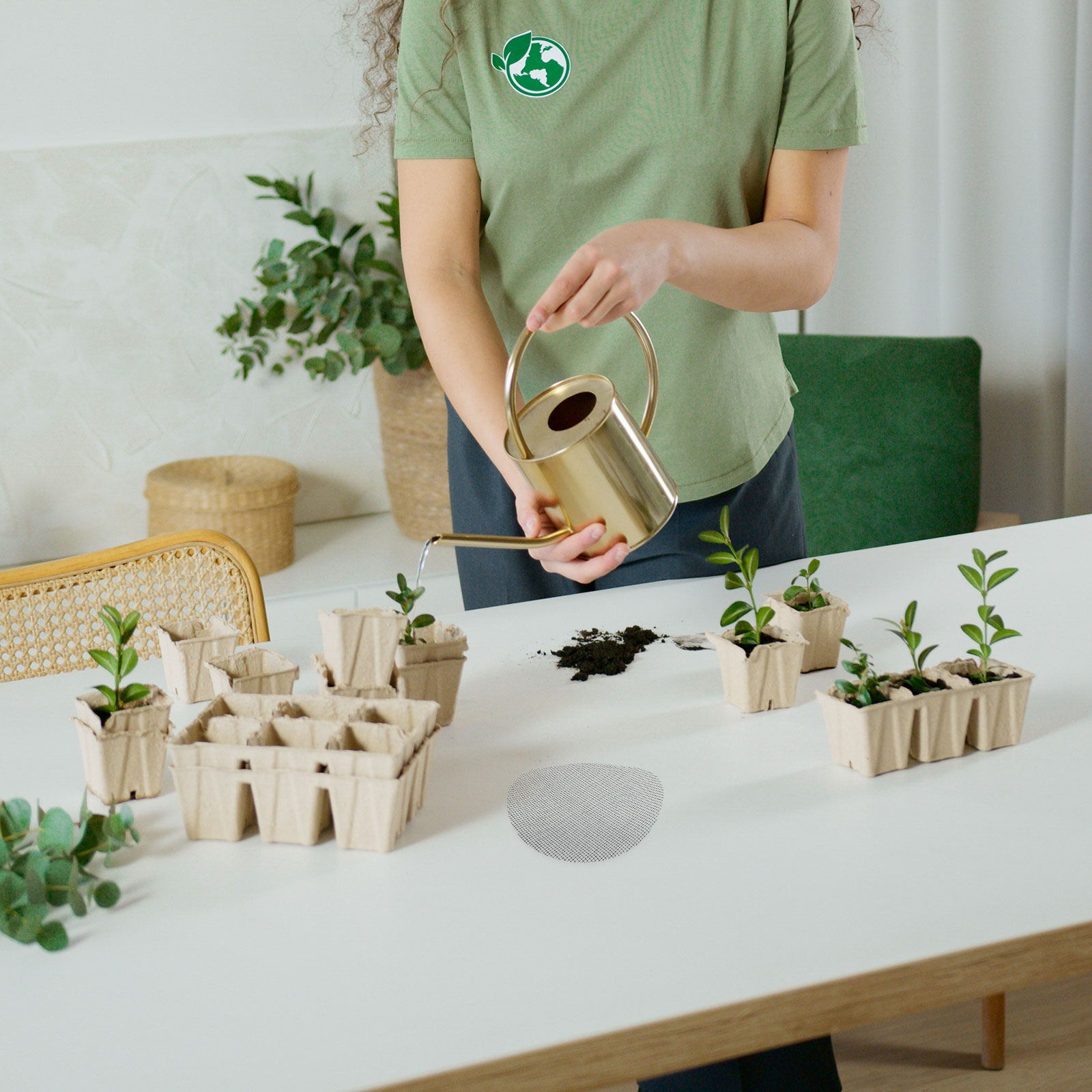 50 Pezzi di Rete per Fori di D - Bonsai Gardening recensione e prezzo