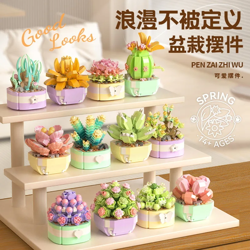 Fiore succulente blocchi di co - Bonsai Garden Kit recensione e prezzo