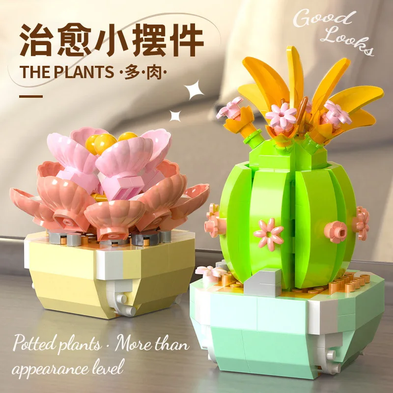 Fiore succulente blocchi di co - Bonsai Garden Kit recensione e prezzo