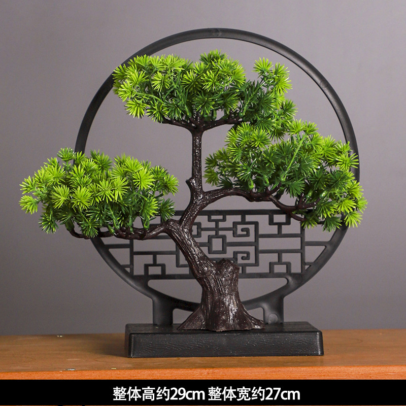 Pianta in vaso di pino di benv - Bonsai Garden Kit recensione e prezzo