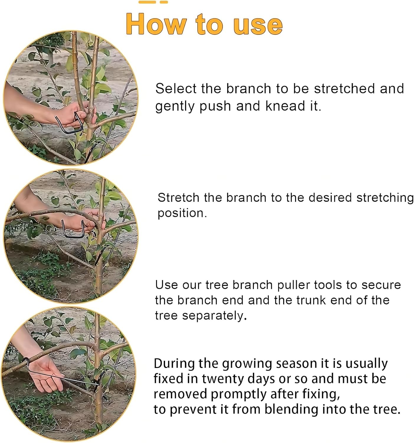 Modellatore Regolabile per Ram - Bonsai Garden Plants recensione e prezzo