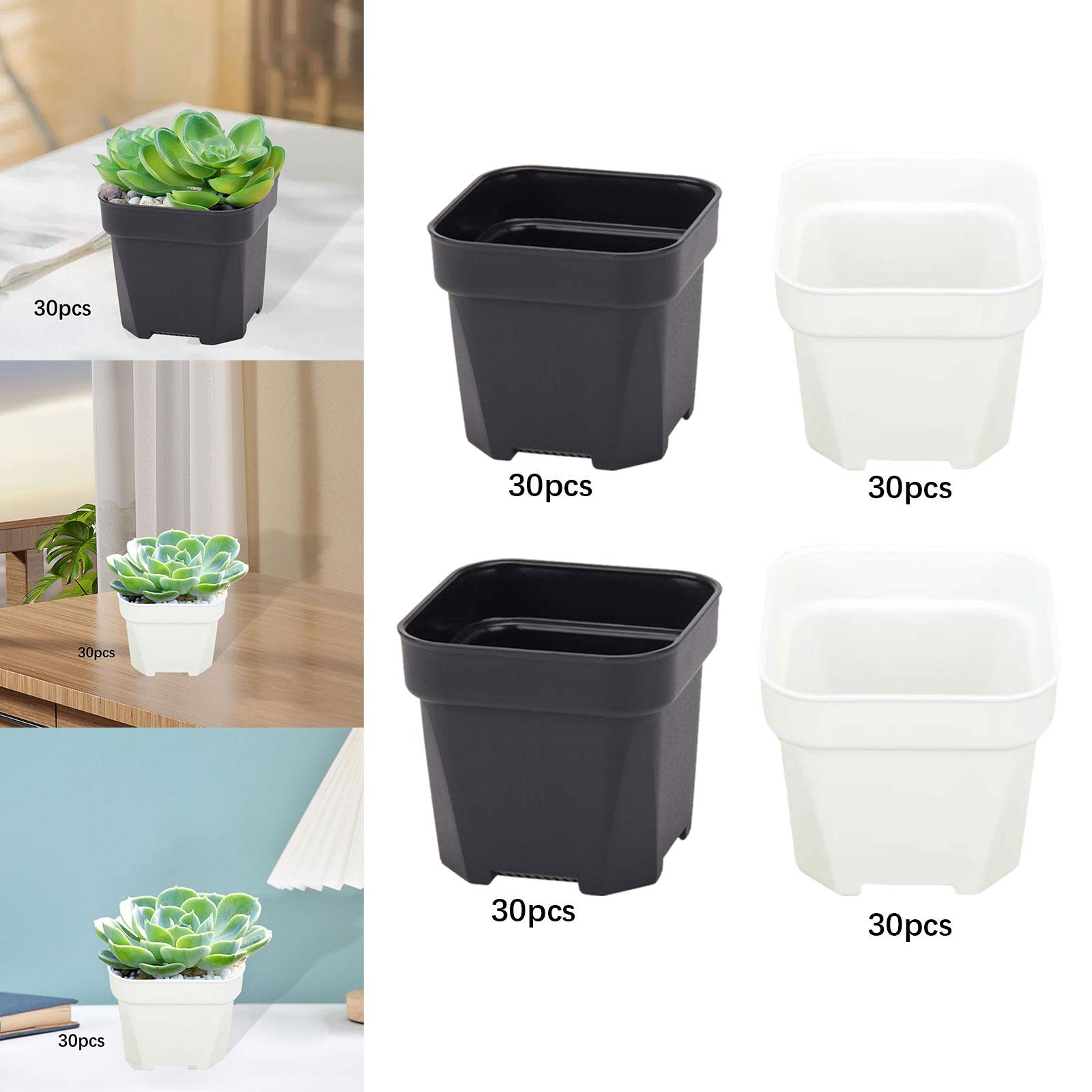 30x Vasi per Piante, Vasi per  - Bonsai Garden Nursery recensione e prezzo