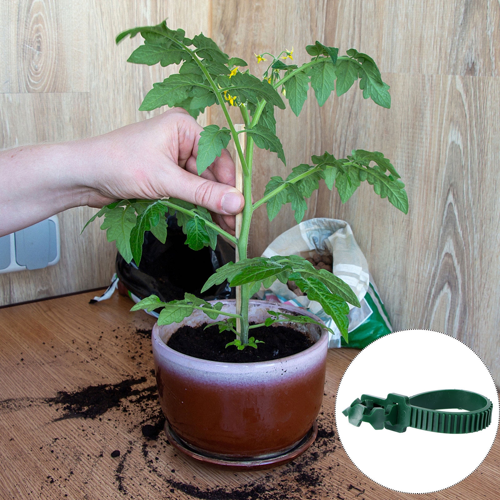 20 Pezzi Clip di Fissaggio per - Bonsai Garden Plants recensione e prezzo