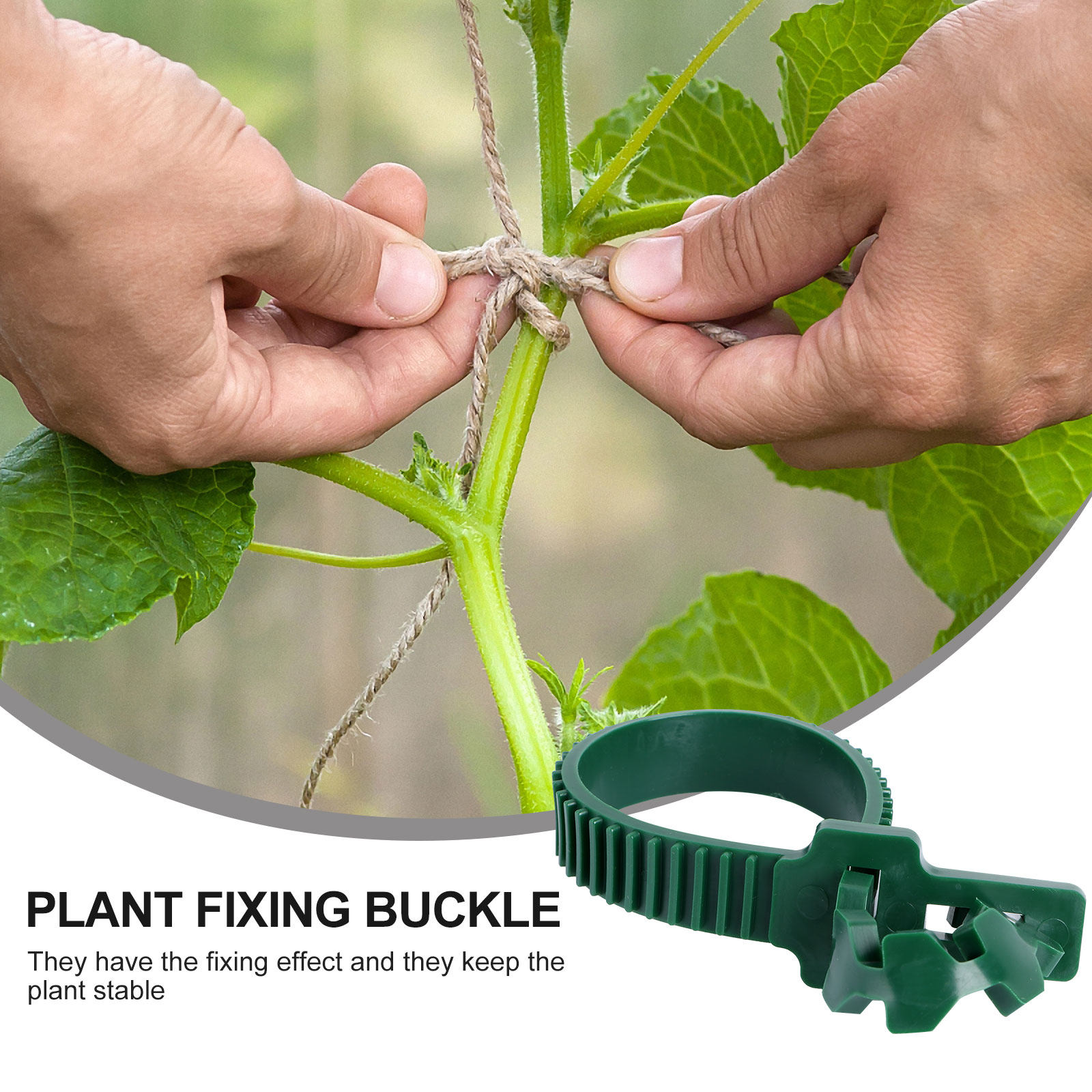 20 Pezzi Clip di Fissaggio per - Bonsai Garden Plants recensione e prezzo