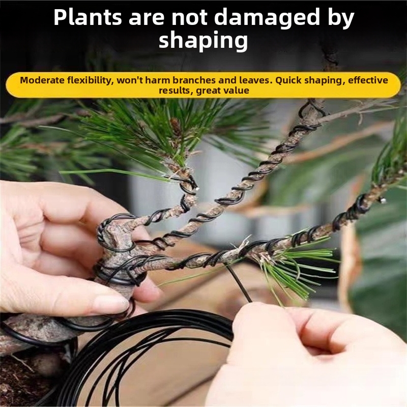 Fili per Bonsai da 1,5 mm in A - Bonsai Garden Plants recensione e prezzo
